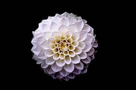 my frist post
